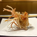 天冨良 麻布よこ田 - 