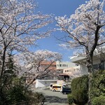 ホテル　万葉岬 - 桜の回廊