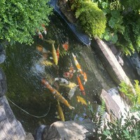 炭焼うな富士 白壁別邸 - 