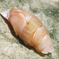 鮨 四心 - 徳島の白甘鯛の真昆布〆です。やはり港区。白甘の握りが出るなんて・・・