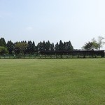 ASAGIRI Field Dogs Garden - （2013年8月）広大で素晴らしく手入れされた芝生のドッグラン