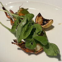 THE COSMOPOLITAN GRILL BAR TERRACE - 