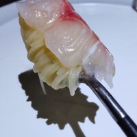 セルサルサーレ - 
