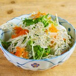 Crispy radish and mizuna salad