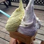 Gelateria Rimo - ピスタチオ＆ブルーベリーチーズ