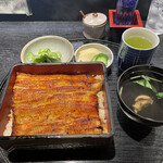 Unagi n - 