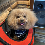 THE NUTS EXCHANGE - 喉が渇いているらしい？