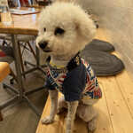 サッカバッカ - 安定の接客♪