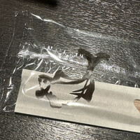 魚心 新宿総本店 - 
