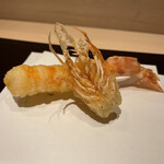 天冨良 麻布よこ田 - 