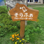 そらふぁブルーベリーガーデン - 