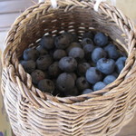 そらふぁブルーベリーガーデン - 私が摘み取った実