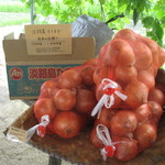 そらふぁブルーベリーガーデン - 淡路島の玉ねぎも販売しています。