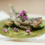 Itsuki - ２０２３年５月再訪：天龍稚鮎 新茶☆