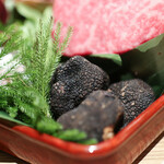 Itsuki - ２０２３年５月再訪：サマートリュフ☆