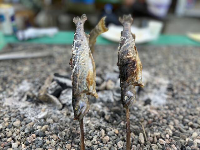 いわなの里 - 只見（その他）の写真