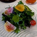 PRIMO - サラダ（2023.4）