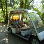 悠離庵 - 敷地内はカートで移動