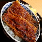 Unagi Sumiyaki Hitsumabushi Minokin - 