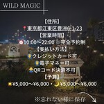 WILD MAGIC - 