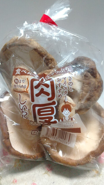 ゆずり葉 2000枚 ゆずり葉 2000枚