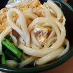 関西風手打うどん いらっしゃい - 極硬めの麺