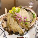 樋山 - 勝浦産の切り立てで甘みのある巨大鮑