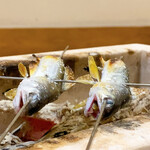 樋山 - 直前まで生きていた琵琶湖の稚鮎。蓼酢も最高味