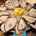 SALTY Oyster House - 