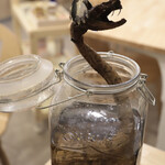 MANUKA HONEY Selection - 