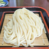 Sanuki Udon Taishou - 並盛