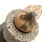 エディション・コウジ シモムラ - 