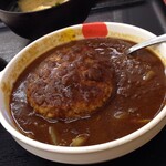 松屋 - 2015/04/14 とろ〜りチーズソースの煮込みハンバーグカレー