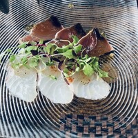 スミレオオサカ - 