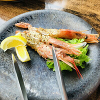 スミレオオサカ - 