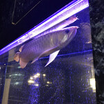 焼肉 拍手喝采 - 