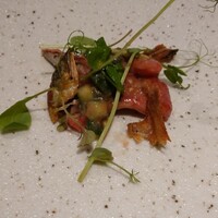 オッジ ダルマット 西麻布店 - 