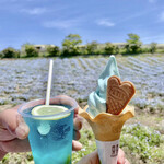oosakamaishimashi-saidopa-ku - ネモフィラブルーをイメージした“青いスイーツ”
                        日差しで溶けるのが早く、撮影場所を選ぶ余地なし՞ ՞