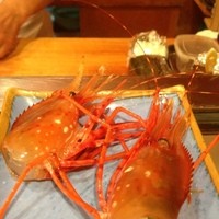 菊鮨 - 牡丹海老の頭☆