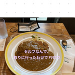 JOTO CURRY  - 