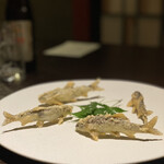 汀渚 ばさら邸 - 