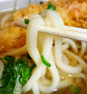 Ishiharu Udon - 