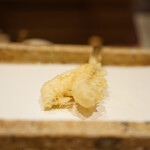 日本橋 蕎ノ字 - メゴチ