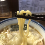 麺屋 はやしまる - モチモチした中太ストレート麺。