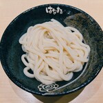 はなまるうどん - うどん