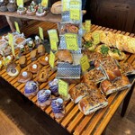 パンチョリーナ - 