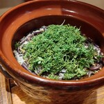 傳 - (2023/4 訪問)実山椒ごはん。