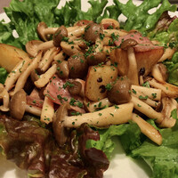Russian Restaurant ROGOVSKI 銀座 - 