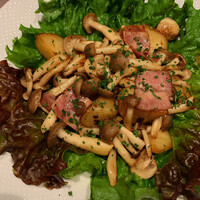 Russian Restaurant ROGOVSKI 銀座 - 