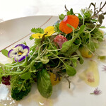 オトワ レストラン - アップ